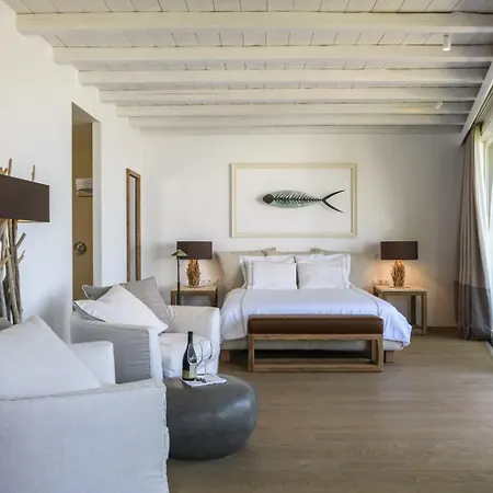Apartment Seaside Vacation With Swimming Pool Mykonos Agios Ioannis Diakoftis